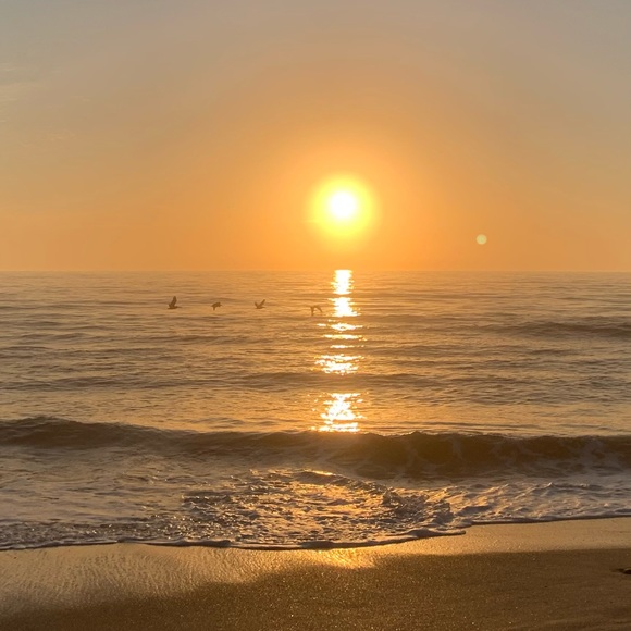 Meet your Posher, Darlene - Picture 1 of 1